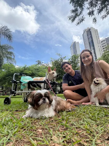 Tutoras com seus cães em um parque
